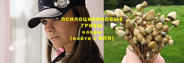 героин Вяземский